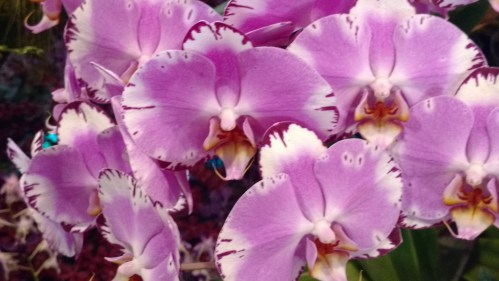 IMG_20160605_132314228