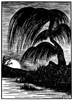 bookofimagesdraw00hortuoft_0033